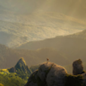 Meet your Posher, Jack